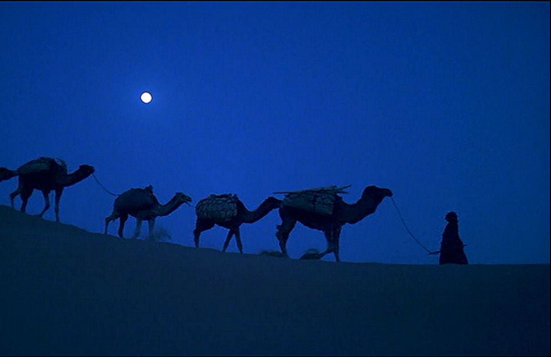 Караван 6 букв. Под покровом небес (1990). Пустыня ночью. Ночной Караван в пустыне. Верблюды ночью.